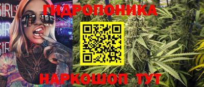 шишки Абакан