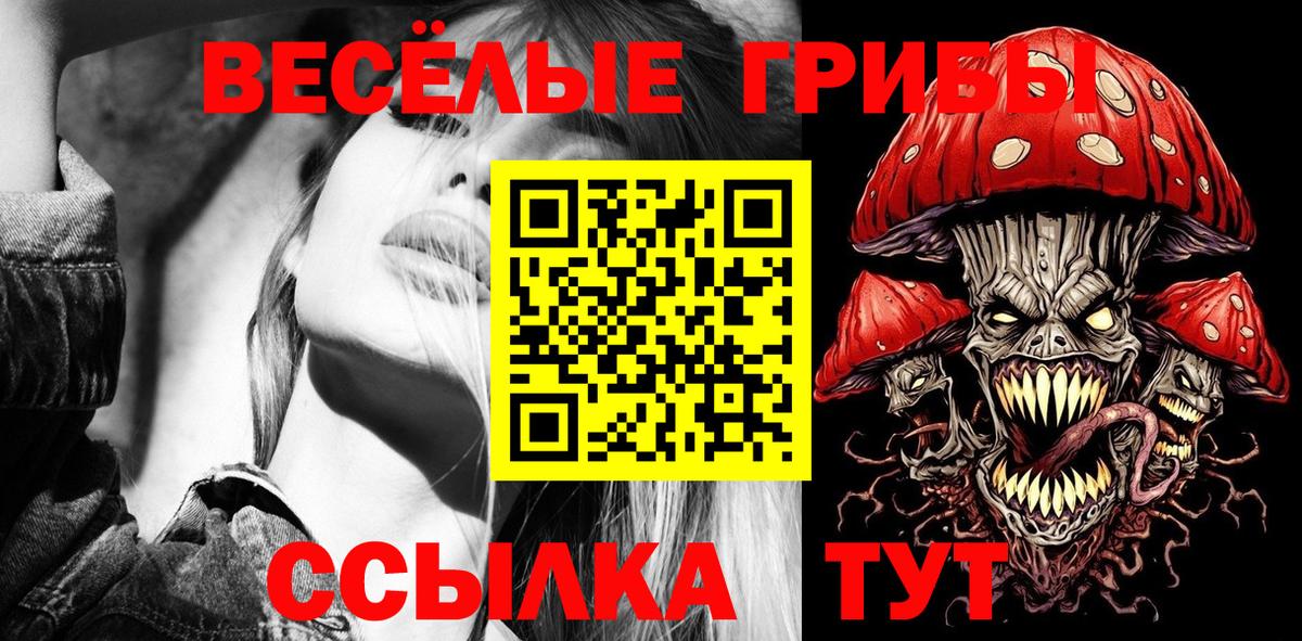 Галлюциногенные грибы ЛСД  даркнет сайт  Стерлитамак 