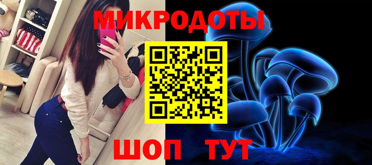 Псилоцибиновые грибы Psilocybe Стерлитамак