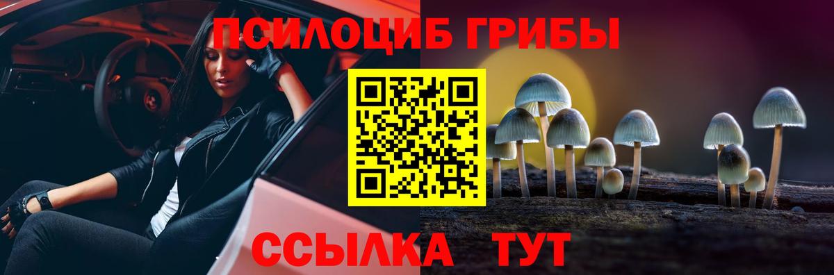 Галлюциногенные грибы Cubensis Стерлитамак